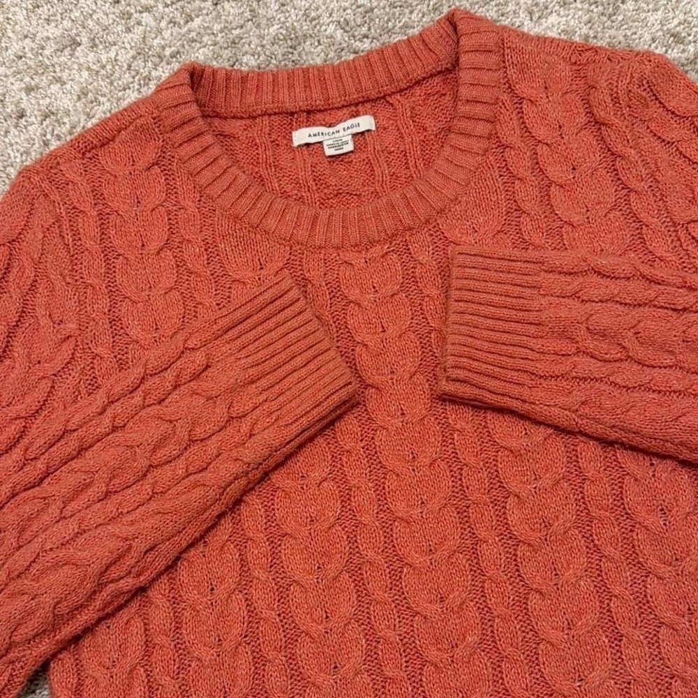 American‎ Eagle Outfitters Cable Knit Crewneck Sweater | Rust Orange | Large